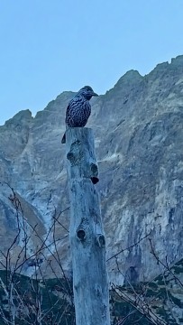 Zakopane jesienią oczami fotografów z Technikum im. J. Piłsudskiego w Brzesku